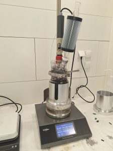 Photo showing the Reactor used for the solvometallurgical leaching experiments 