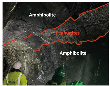 Characterisation of materials supplied to the upscaled LiCORNE processes